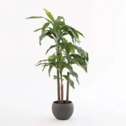 Mica Decorations Dracaena Kunstplant - H95 x Ø60 cm