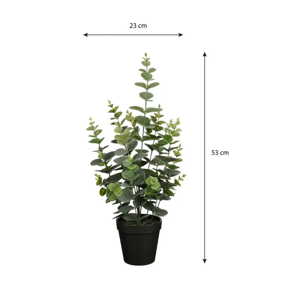 Mica Decorations Eucalyptus Kunstplant - H53 x Ø23 cm - Groen