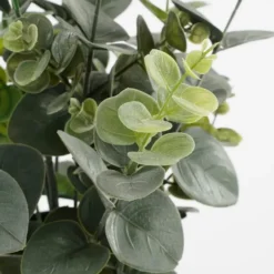 Mica Decorations Eucalyptus Kunstplant - H53 x Ø23 cm - Groen