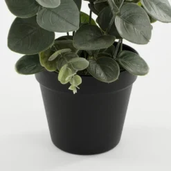 Mica Decorations Eucalyptus Kunstplant - H53 x Ø23 cm - Groen