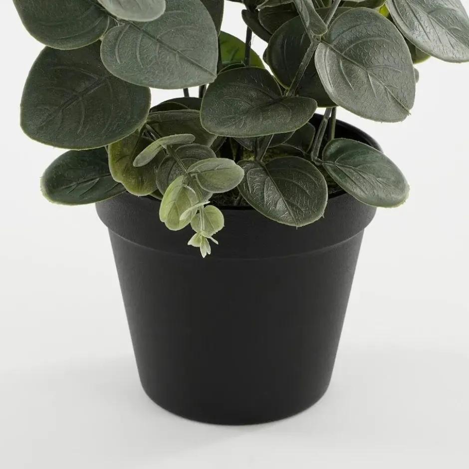 Mica Decorations Eucalyptus Kunstplant - H53 x Ø23 cm - Groen