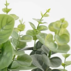 Mica Decorations Eucalyptus Kunstplant - H53 x Ø23 cm - Groen