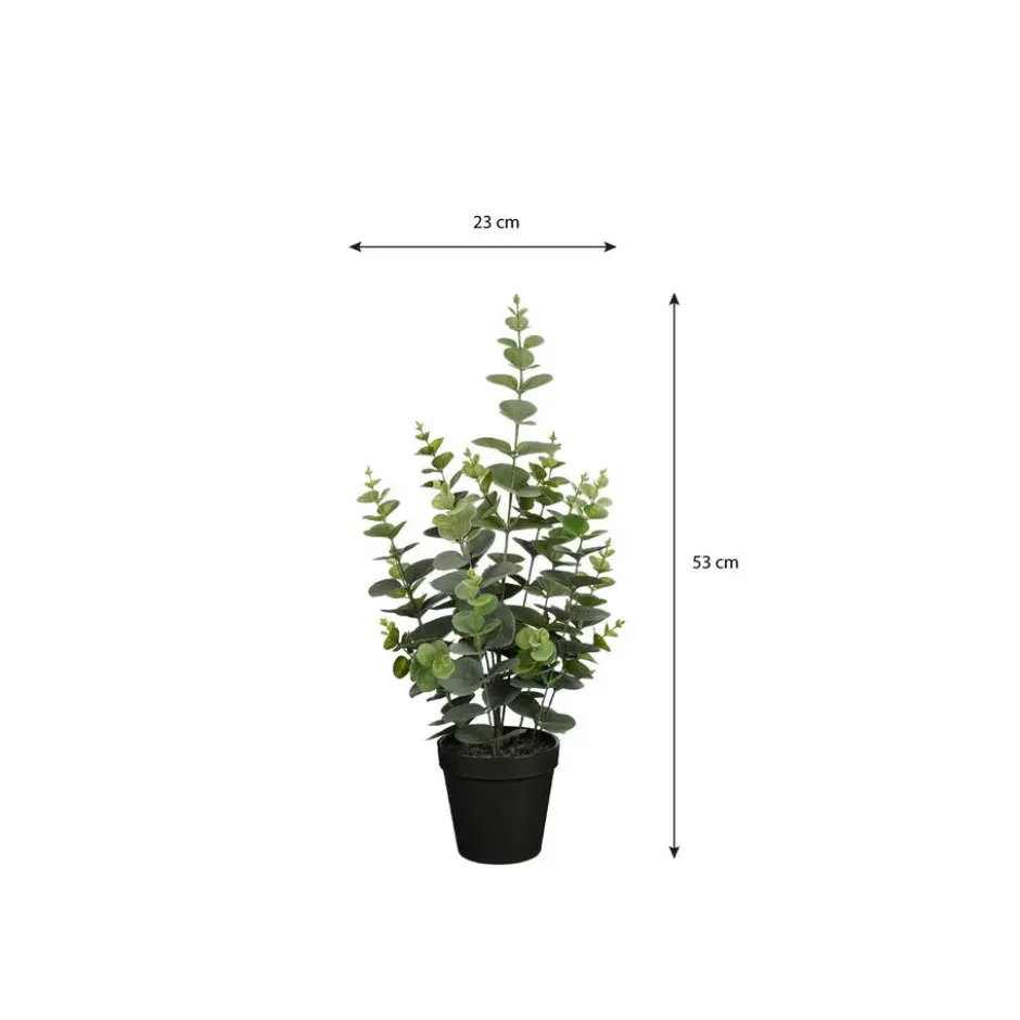 Mica Decorations Eucalyptus Kunstplant - H53 x Ø23 cm - Groen