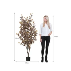 Mica Decorations Eucalyptus boom in pot brons - h180xd80cm