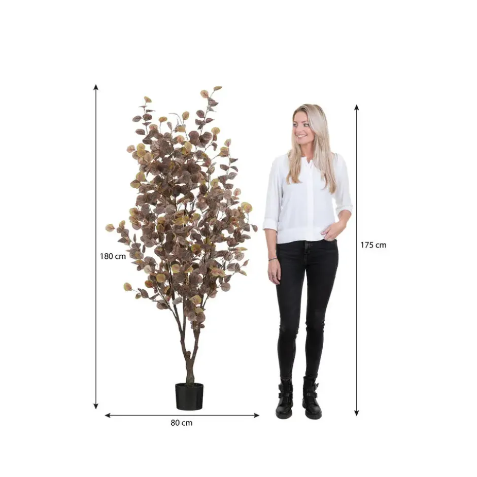 Mica Decorations Eucalyptus boom in pot brons - h180xd80cm