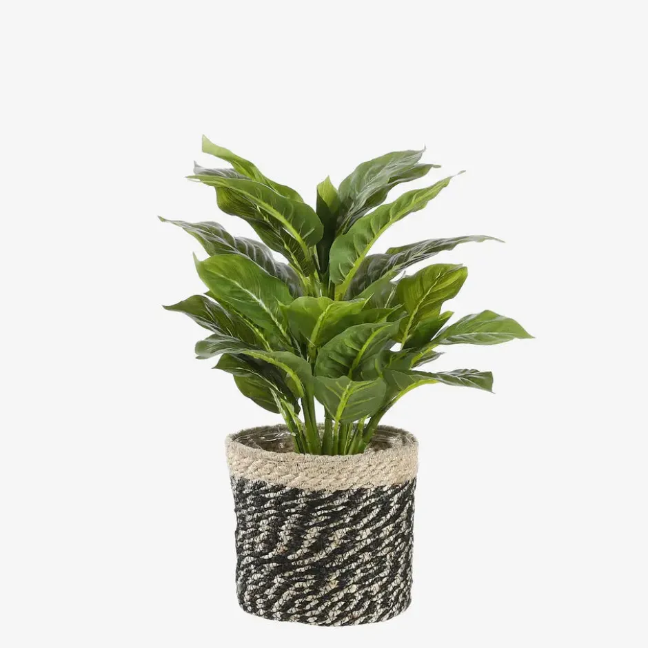 Mica Decorations Evergreen Kunstplant Groen