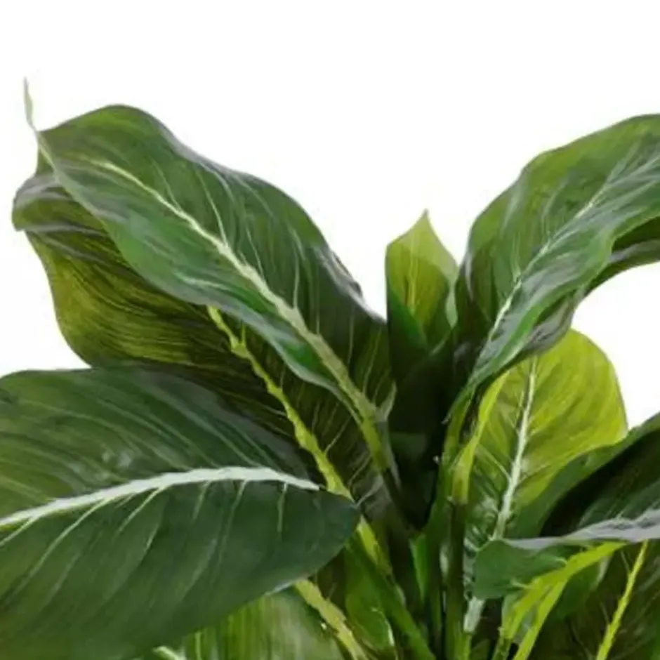 Mica Decorations Evergreen Kunstplant Groen