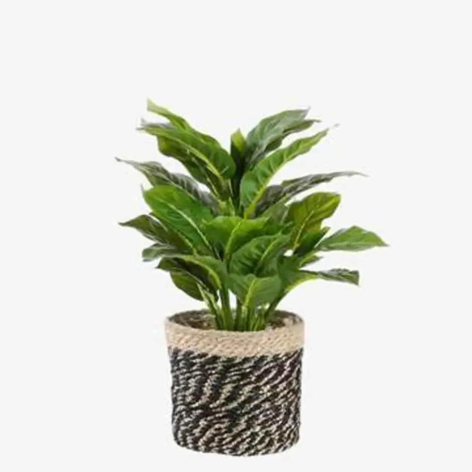 Mica Decorations Evergreen Kunstplant Groen