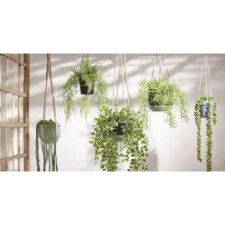 Mica Decorations Ficus Kunst Hangplant in Pot - H46 x Ø20 cm - Groen