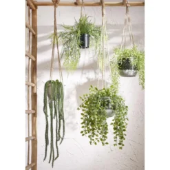 Mica Decorations Ficus Kunst Hangplant in Pot - H46 x Ø20 cm - Groen