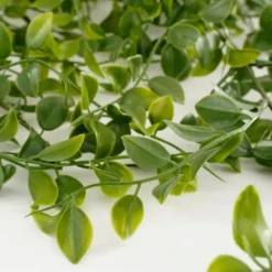 Mica Decorations Ficus Kunst Hangplant - H81 cm - Groen