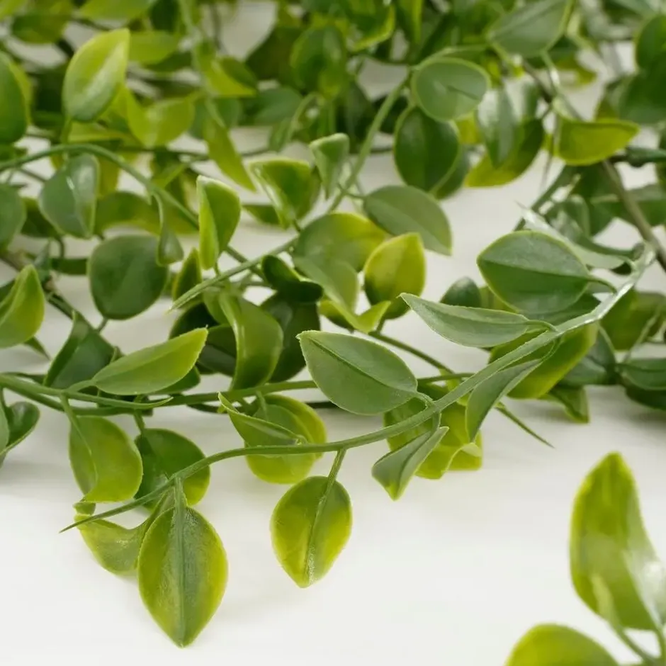 Mica Decorations Ficus Kunst Hangplant - H81 cm - Groen