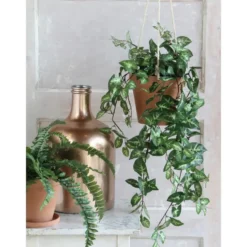 Mica Decorations Fittonia Kunst Hangplant in Pot - H80 cm - Groen