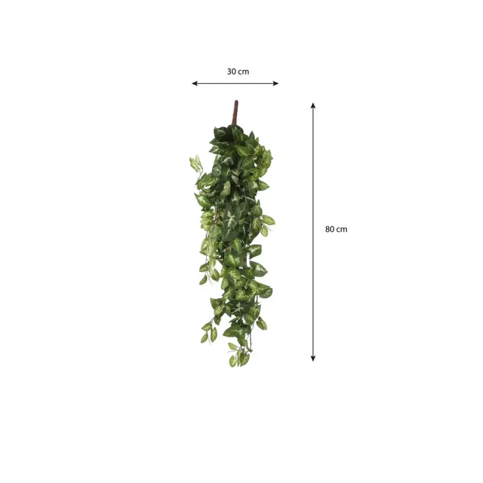 Mica Decorations Fittonia Kunst Hangplant in Pot - H80 cm - Groen