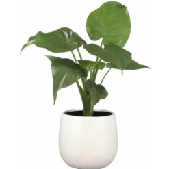 Mica Decorations Gabriel Bloempot - H25 x Ø29 cm - Wit