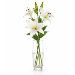 Mica Decorations Kunstbloem Lily Stargazer Valley - H75 cm - wit
