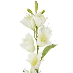 Mica Decorations Kunstbloem Campanula Floral - H71 cm - wit