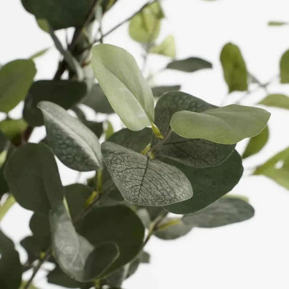 Mica Decorations Kunstplant Eucalyptusboom in Pot - H95 x Ø35 cm