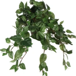 Mica Decorations Kunstplant - scindapsus drakenklimop - groen - 45 cm