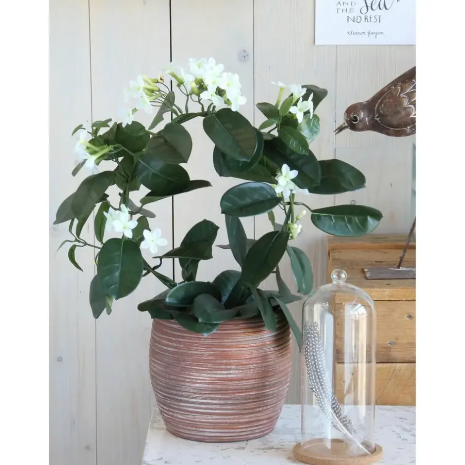 Mica Decorations Kunstplant - stephanotis bruidsbloem - wit - 50 cm
