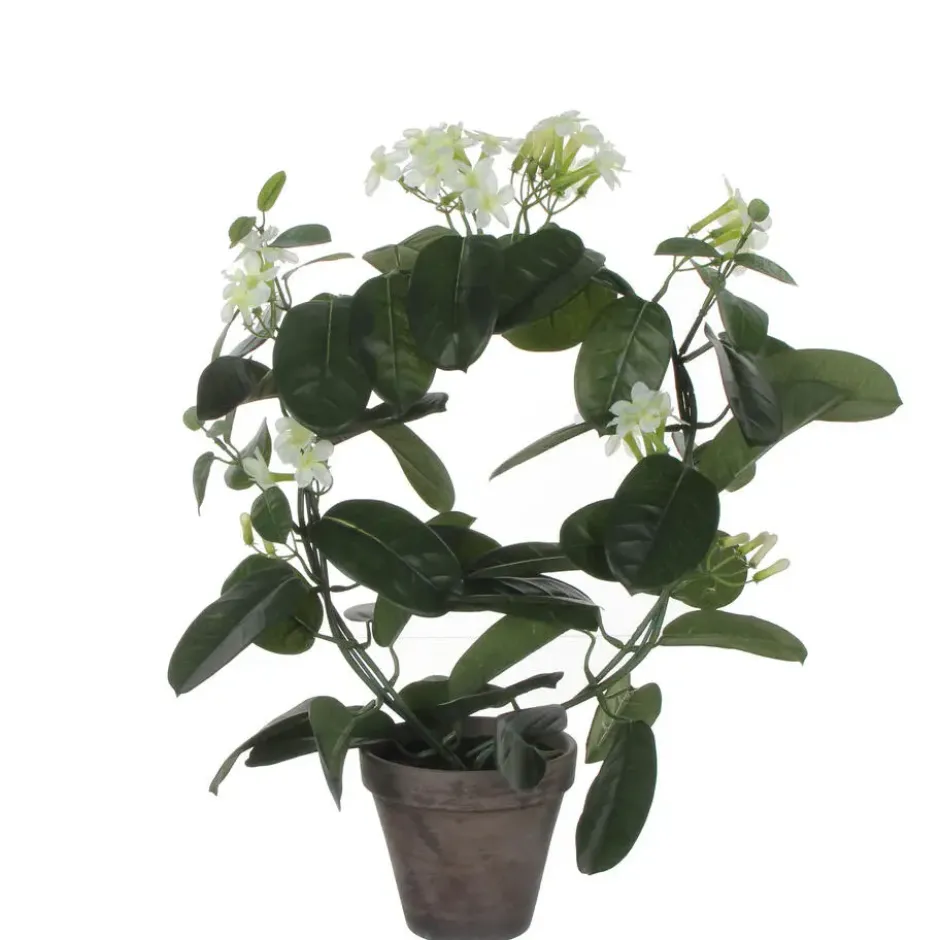 Mica Decorations Kunstplant - stephanotis bruidsbloem - wit - 50 cm