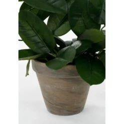 Mica Decorations Kunstplant - stephanotis bruidsbloem - wit - 50 cm