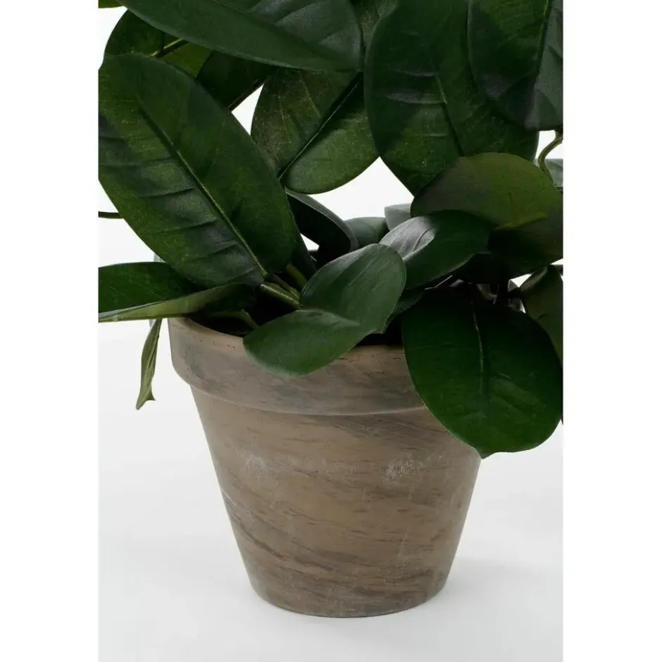 Mica Decorations Kunstplant - stephanotis bruidsbloem - wit - 50 cm