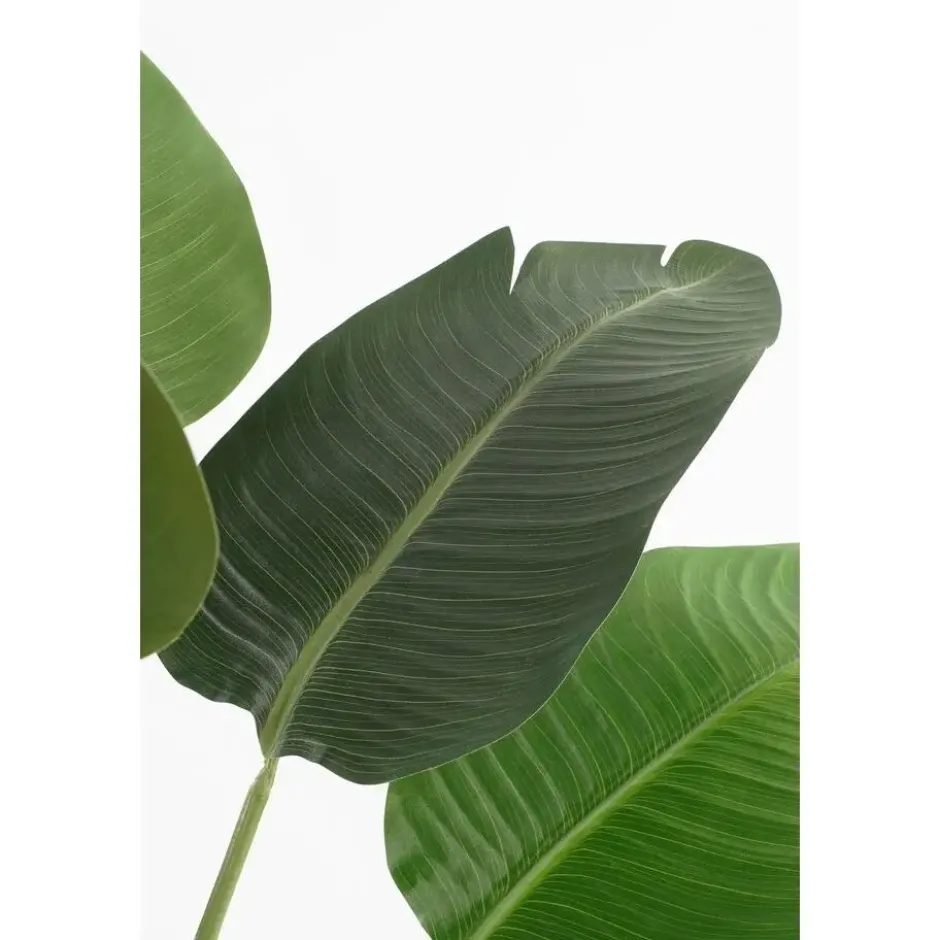 Mica Decorations Kunstplant Bananenboom - H120 x Ø30 - Groen