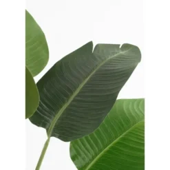 Mica Decorations Kunstplant Bananenboom - H120 x Ø30 - Groen