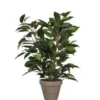 Mica Decorations Kunstplant Ficus - groen - 40 cm - voor binnen