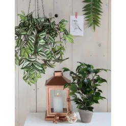 Mica Decorations Kunstplant Ficus - groen - 40 cm - voor binnen