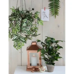 Mica Decorations Kunstplant Ficus - groen - 40 cm - voor binnen