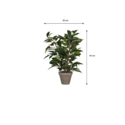 Mica Decorations Kunstplant Ficus - groen - 40 cm - voor binnen
