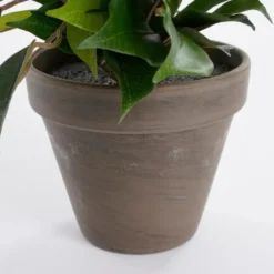 Mica Decorations Kunstplant Ficus - groen - 40 cm - voor binnen