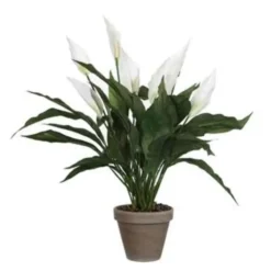 Mica Decorations Kunstplant - spathiphyllum lepelplant - wit - 50 cm