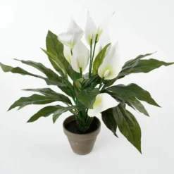 Mica Decorations Kunstplant - spathiphyllum lepelplant - wit - 50 cm