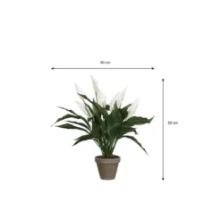 Mica Decorations Kunstplant - spathiphyllum lepelplant - wit - 50 cm