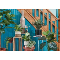 Mica Decorations Kunstplant Dieffenbachia - groen - 40 cm - in pot