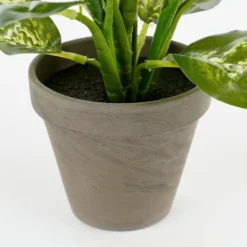 Mica Decorations Kunstplant Dieffenbachia - groen - 40 cm - in pot