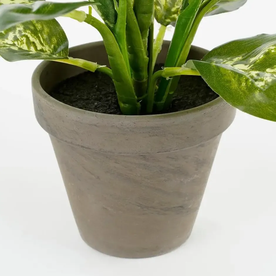 Mica Decorations Kunstplant Dieffenbachia - groen - 40 cm - in pot