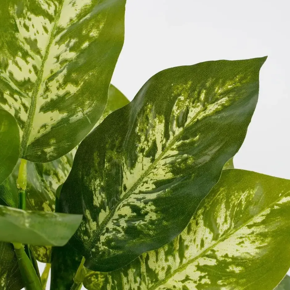 Mica Decorations Kunstplant Dieffenbachia - groen - 40 cm - in pot
