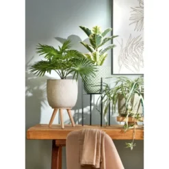 Mica Decorations Palm Kunstplant - H40 x Ø35 cm - Groen