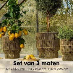 Mica Decorations Peta Bloempot – Set van 3 – Groen