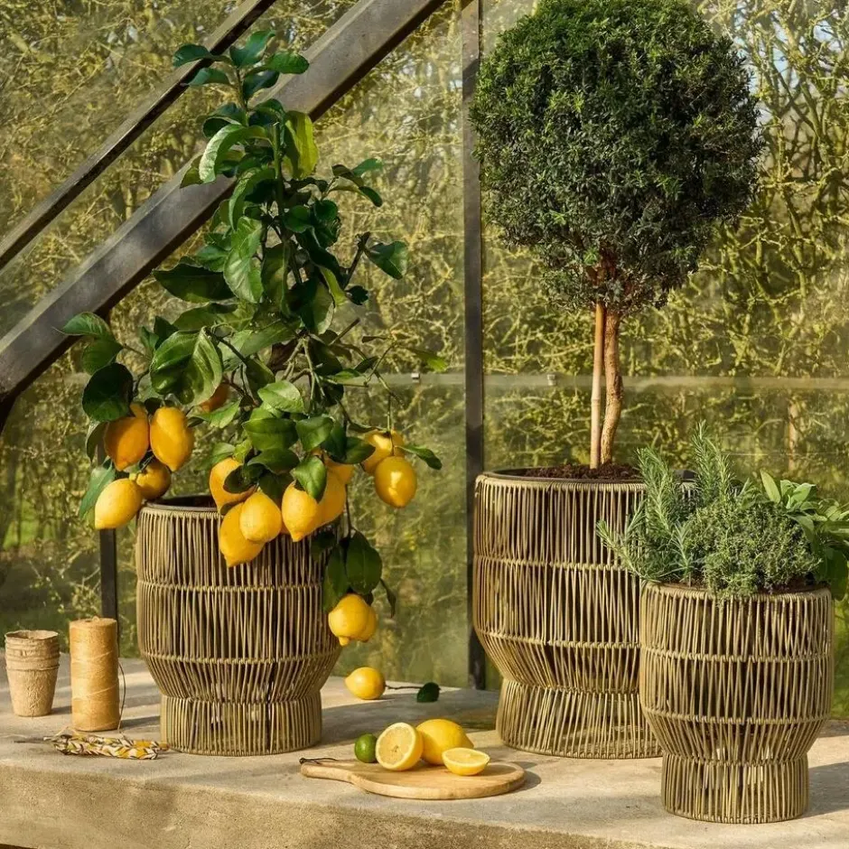 Mica Decorations Peta Bloempot – Set van 3 – Groen