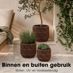 Mica Decorations Peta Bloempot – Set van 3 – Donkerbruin