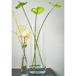 Mica Decorations Vaas - cilinder - glas - transparant - 55 cm