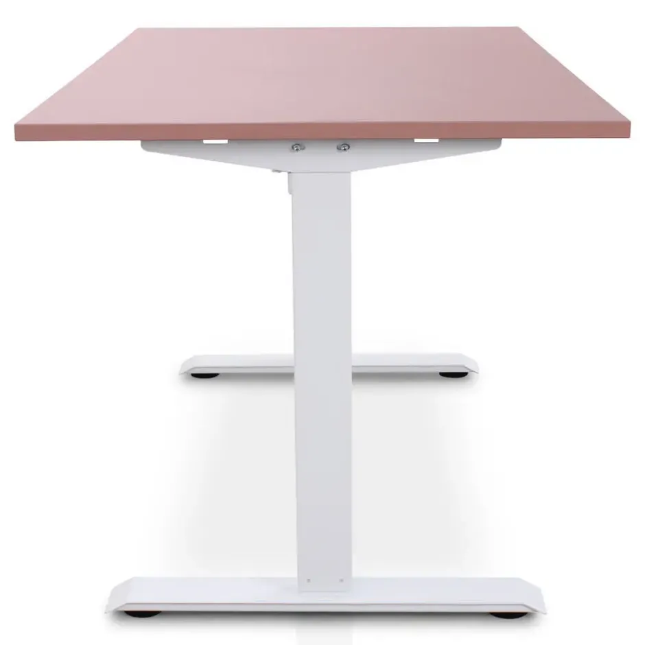 MRC EASY Zit-Sta Bureau – Elektrisch Verstelbaar – 120x80 cm – Blad Dusty Rose