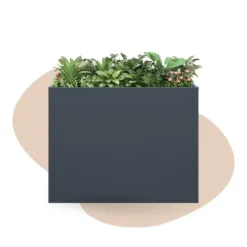 Plantenbak - 100 x 50 x 77 cm - Antraciet