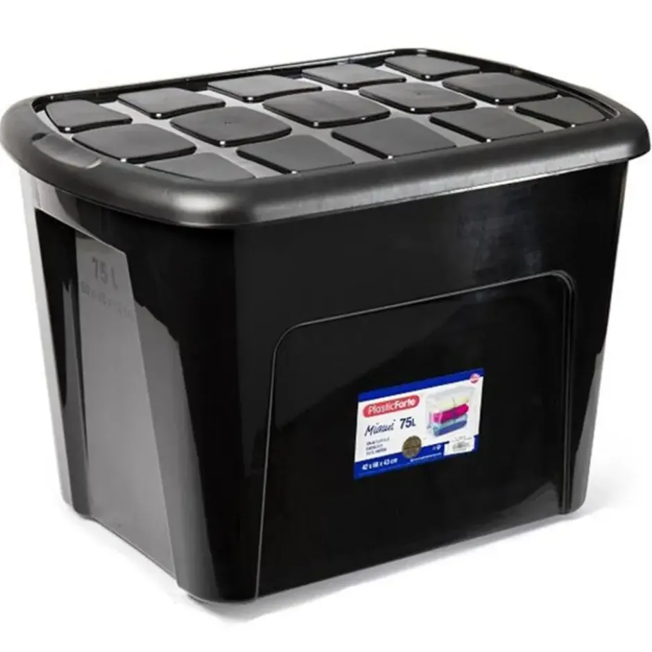 Plasticforte Opbergkist met deksel - Box - 75L - 60x42x43 cm
