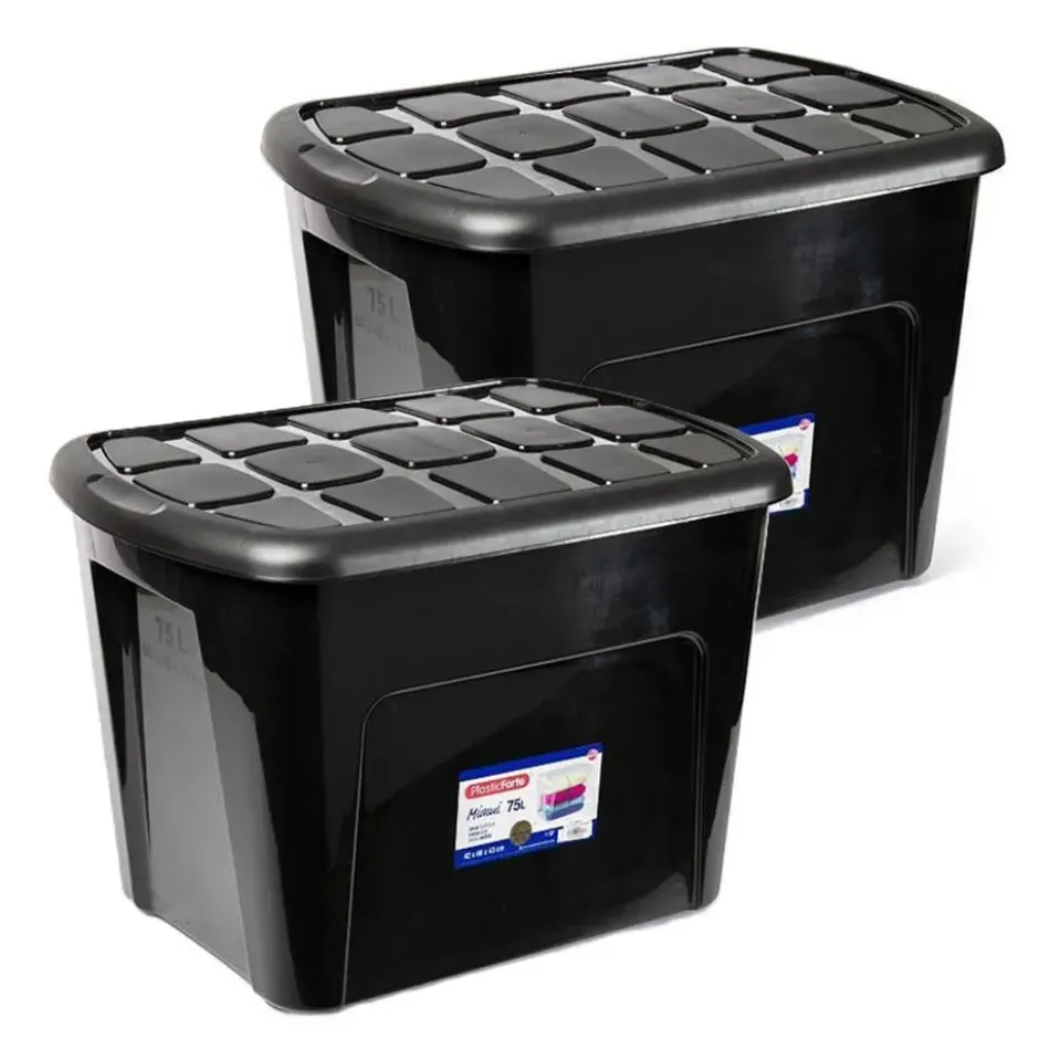 Plasticforte Opbergkist met deksel - Box - 75L - 60x42x43 cm